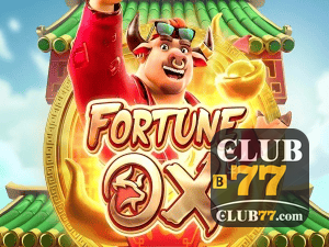 CLUB77BET login — painel de entrada no app oficial