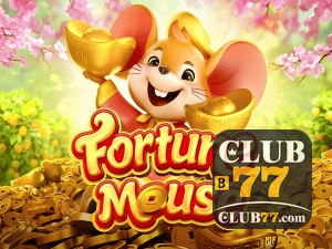 CLUB77BET login — configurações de segurança e proteção de conta